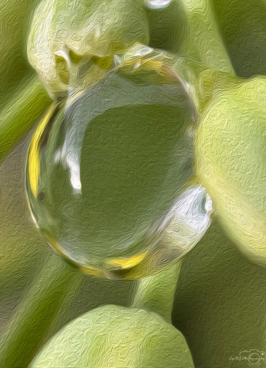 Digital Oil Painting - Superb Droplet V695