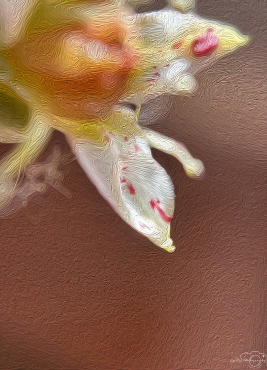 Digital Oil Painting - Superb Droplet V696