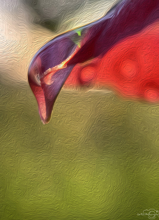 Digital Oil Painting - Superb Droplet V705
