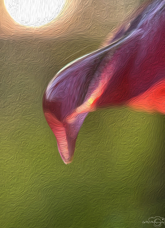 Digital Oil Painting - Superb Droplet V707