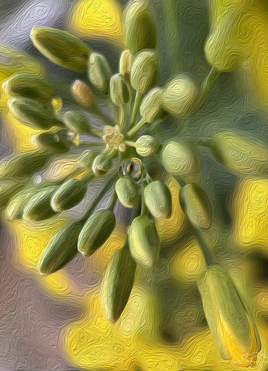 Digital Oil Painting - Superb Droplet V708