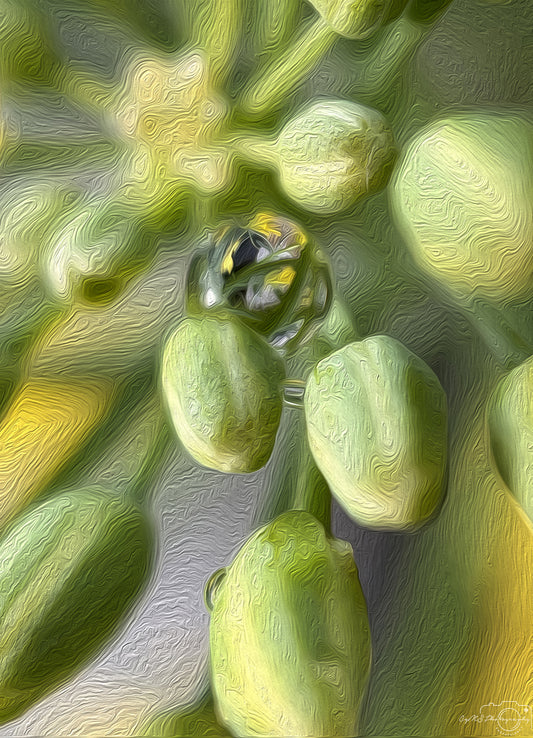 Digital Oil Painting - Superb Droplet V709