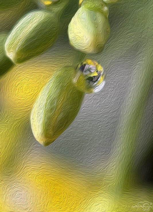 Digital Oil Painting - Superb Droplet V711