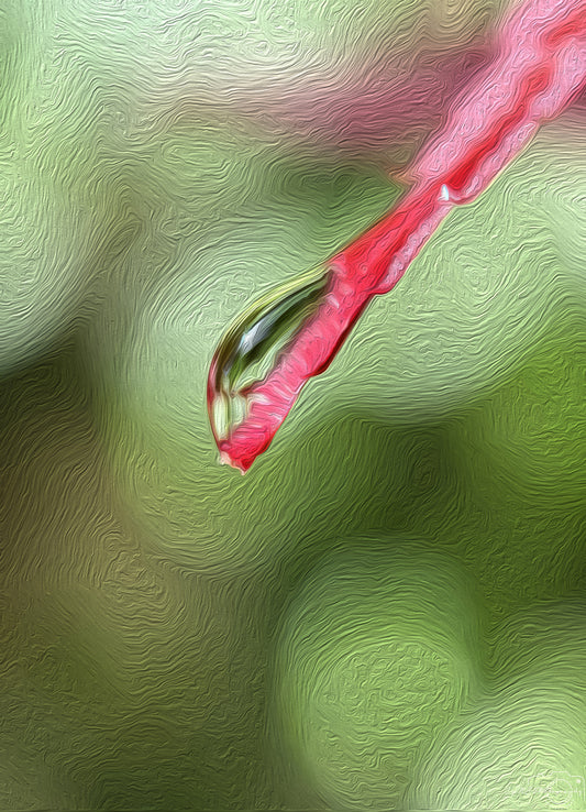 Digital Oil Painting - Superb Droplet V712
