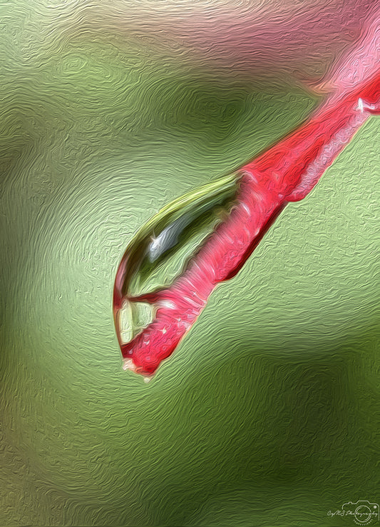 Digital Oil Painting - Superb Droplet V714