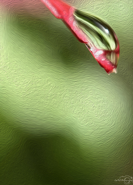 Digital Oil Painting - Superb Droplet V715