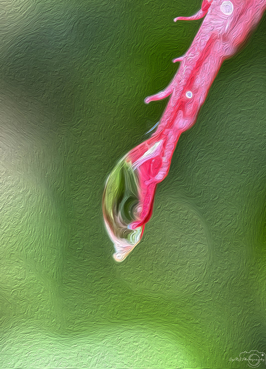 Digital Oil Painting - Superb Droplet V717