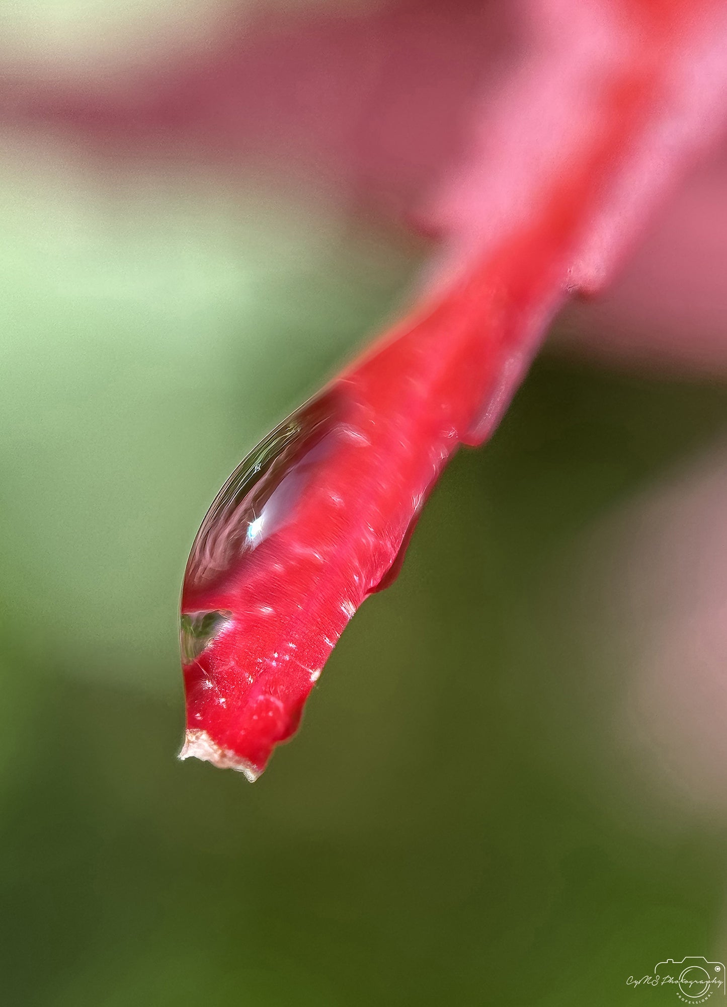 Beautiful water drop_V719
