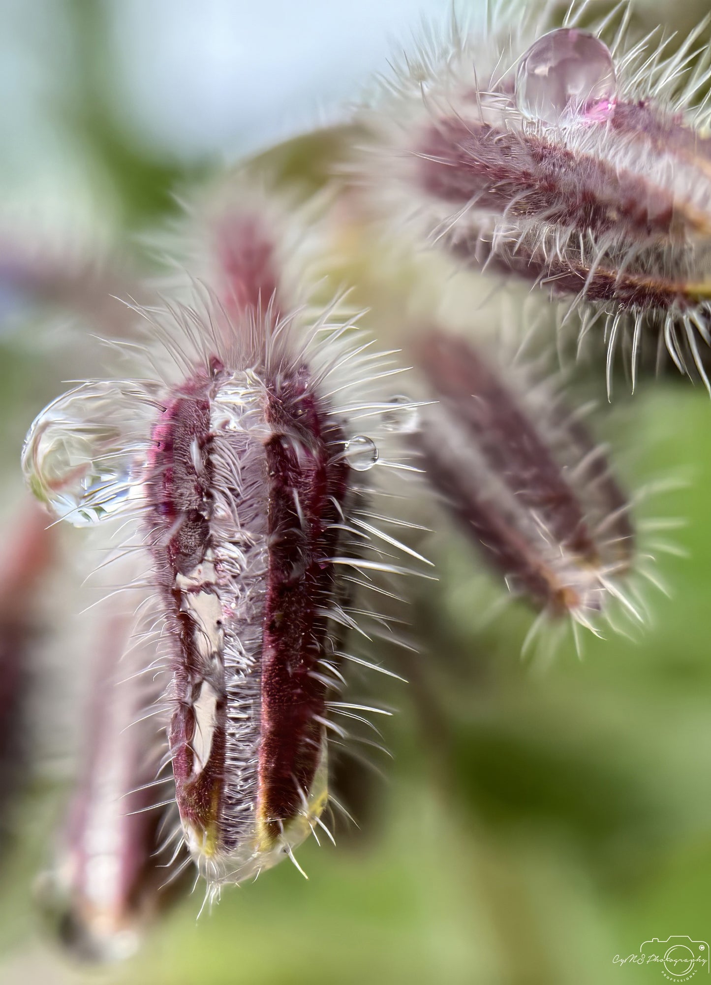 Beautiful water drop_V723