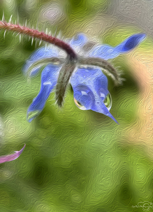 Digital Oil Painting - Superb Droplet V726