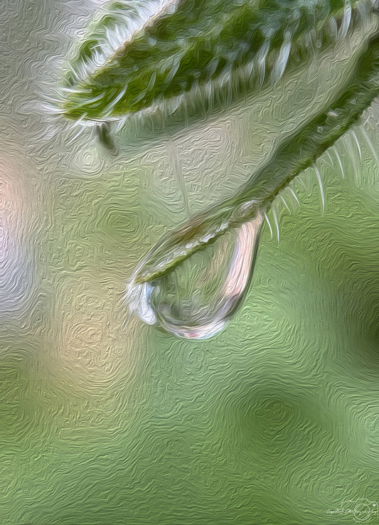 Digital Oil Painting - Superb Droplet V729