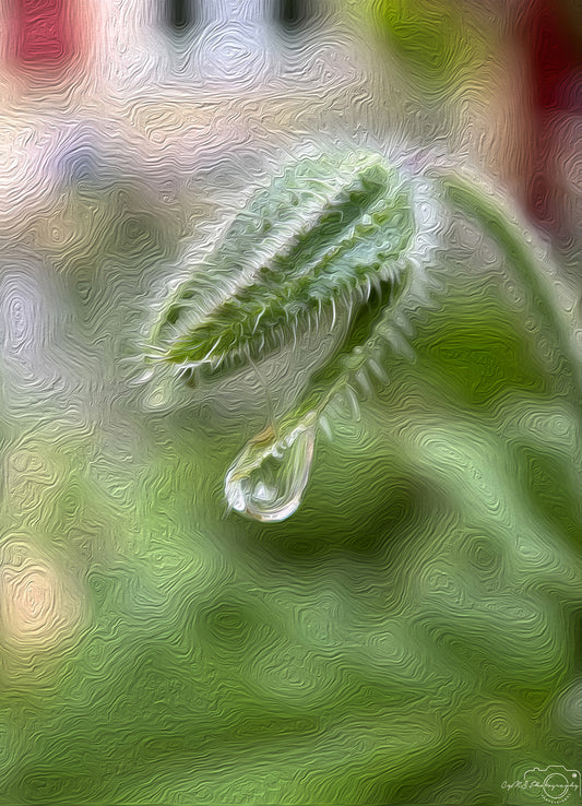 Digital Oil Painting - Superb Droplet V731