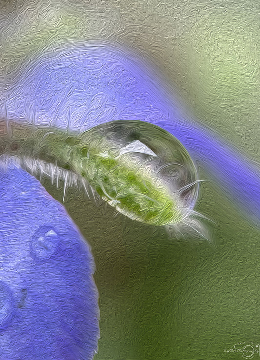 Digital Oil Painting - Superb Droplet V734