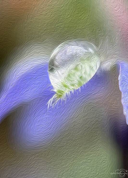 Digital Oil Painting - Superb Droplet V735