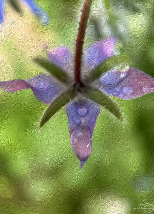Digital Oil Painting - Superb Droplet V736