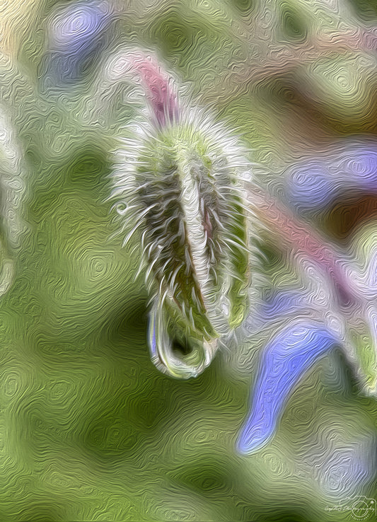 Digital Oil Painting - Superb Droplet V737
