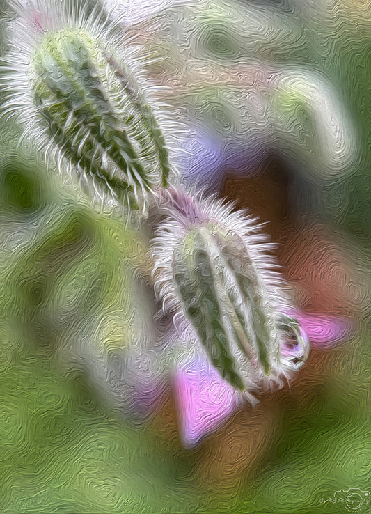 Digital Oil Painting - Superb Droplet V738