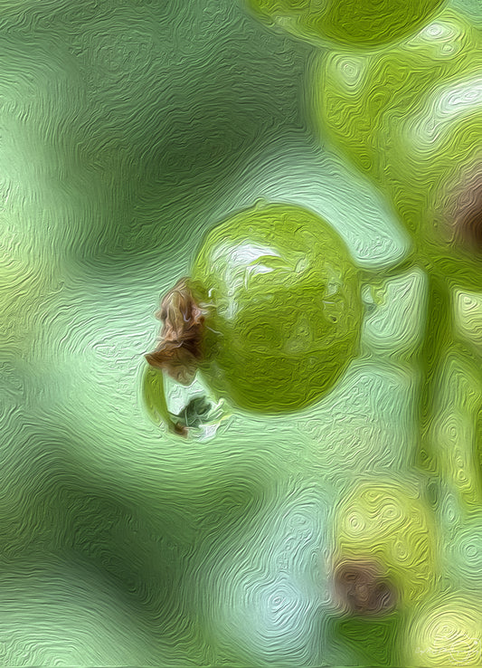 Digital Oil Painting - Superb Droplet V741