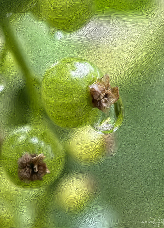 Digital Oil Painting - Superb Droplet V742