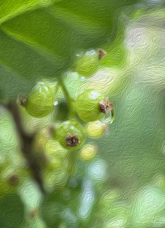 Digital Oil Painting - Superb Droplet V743