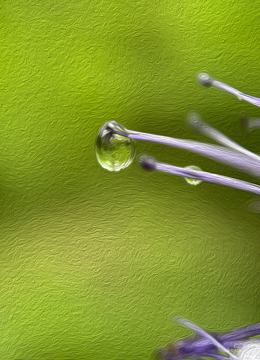 Digital Oil Painting - Superb Droplet V745