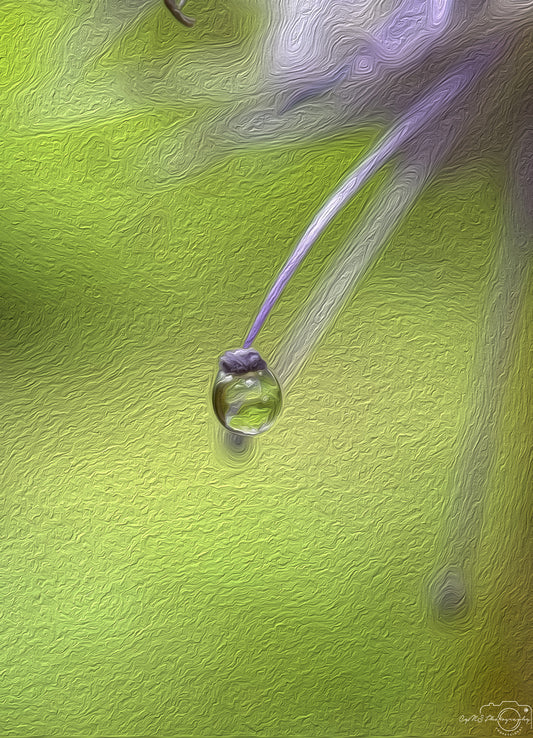 Digital Oil Painting - Superb Droplet V747