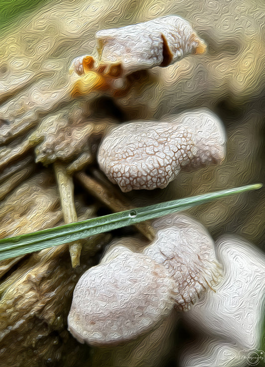 Digital Oil Painting - Superb Droplet V748