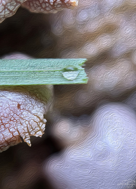 Digital Oil Painting - Superb Droplet V749