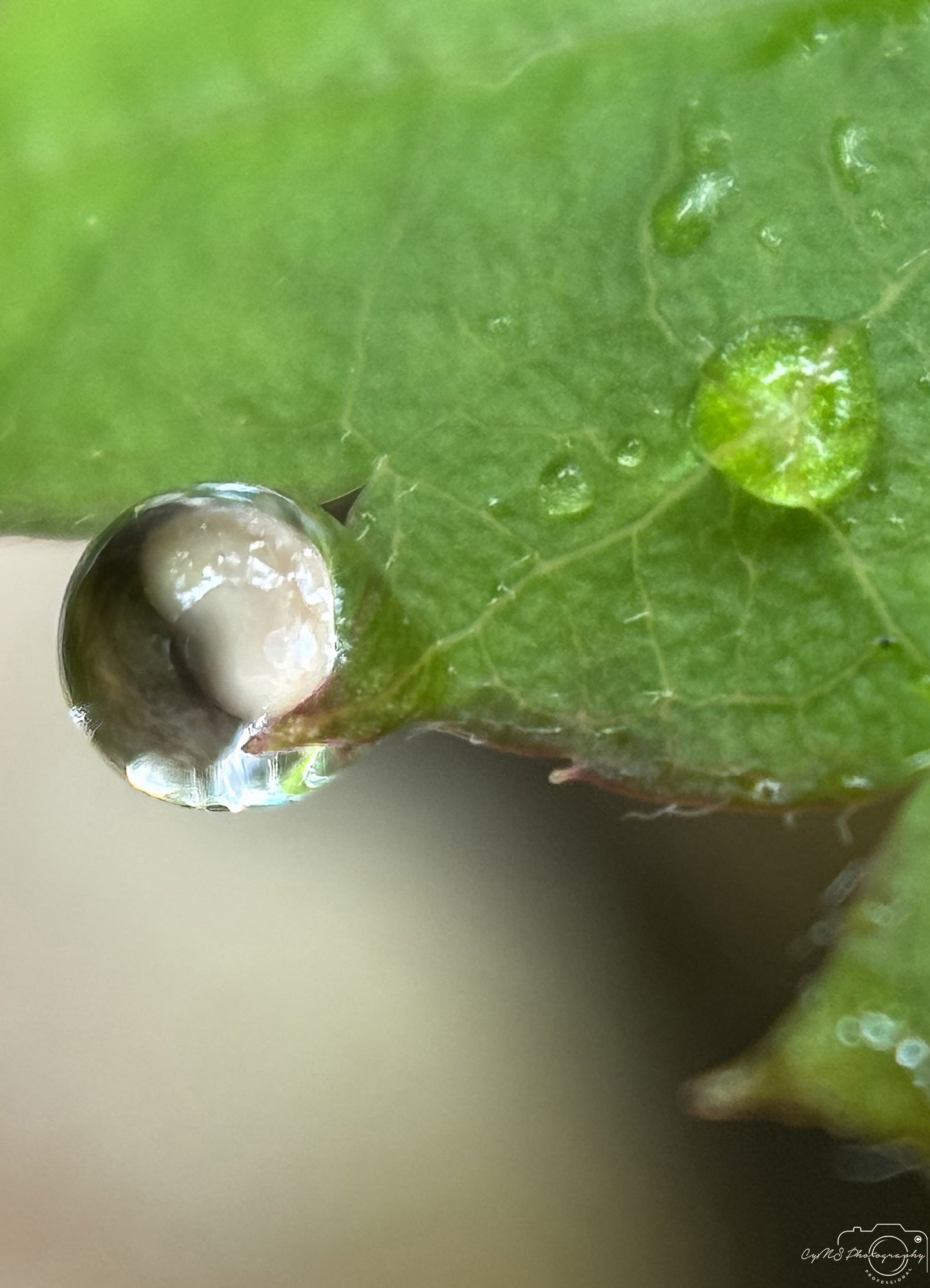Beautiful water drop_V751