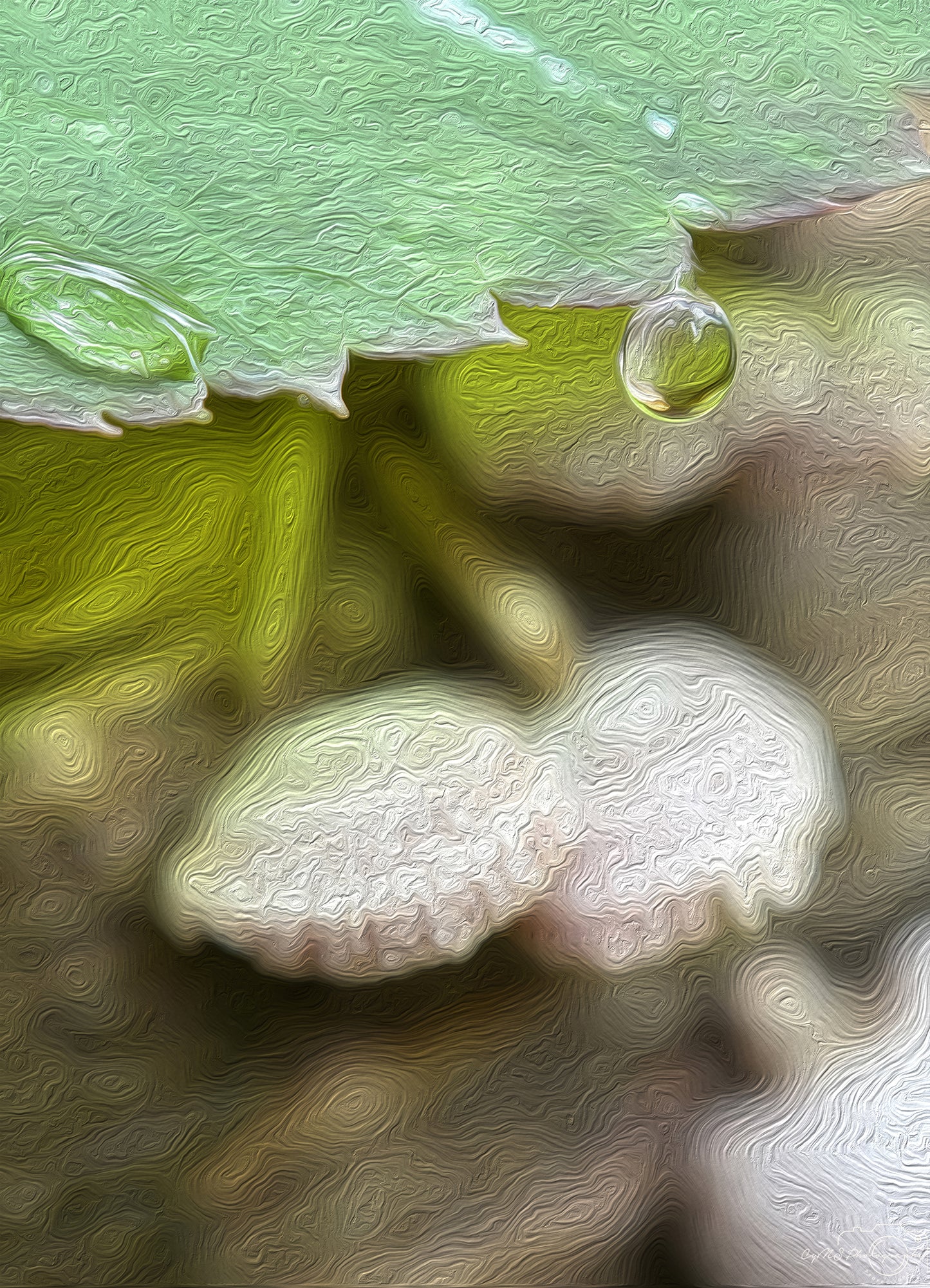 Digital Oil Painting - Superb Droplet V752