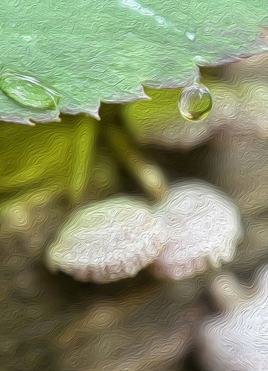 Digital Oil Painting - Superb Droplet V752