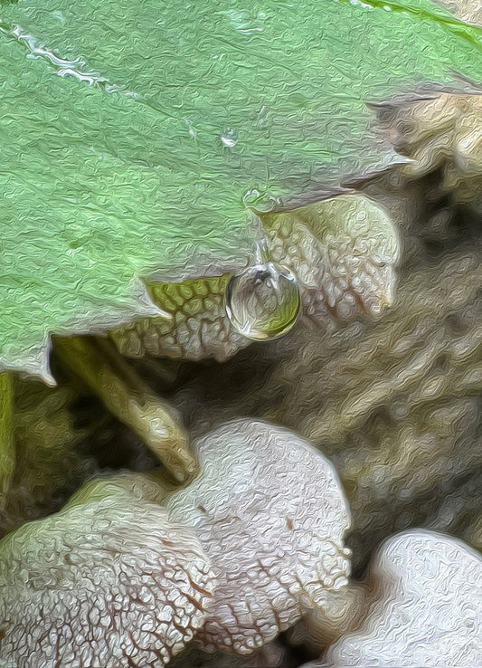 Digital Oil Painting - Superb Droplet V753
