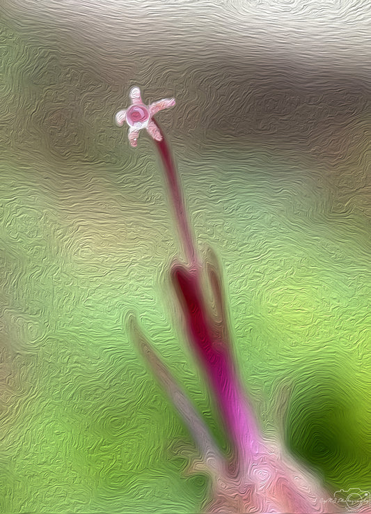 Digital Oil Painting - Superb Droplet V756