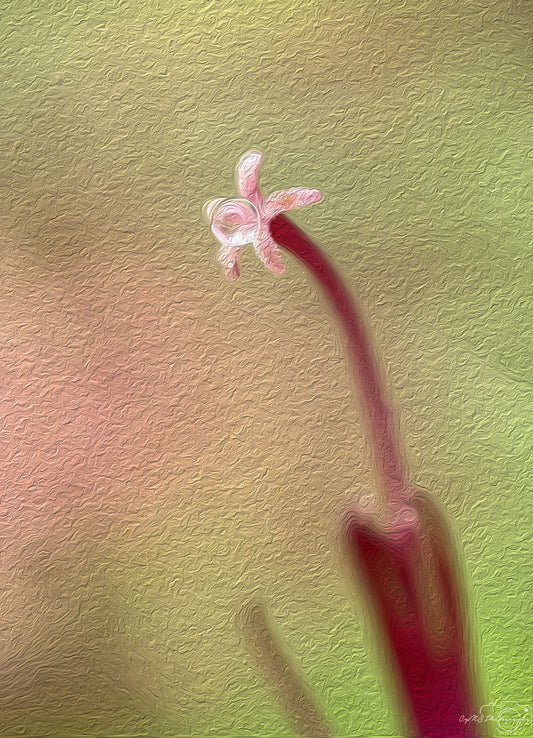 Digital Oil Painting - Superb Droplet V757