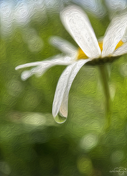 Digital Oil Painting - Superb Droplet V765
