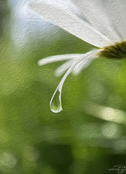 Digital Oil Painting - Superb Droplet V768