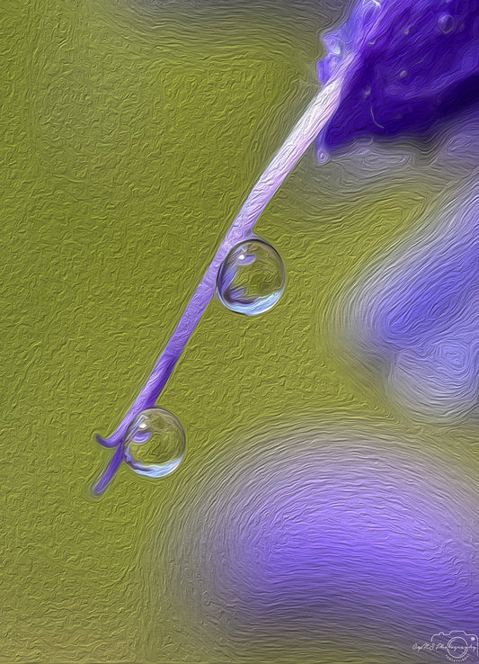 Digital Oil Painting - Superb Droplet V773