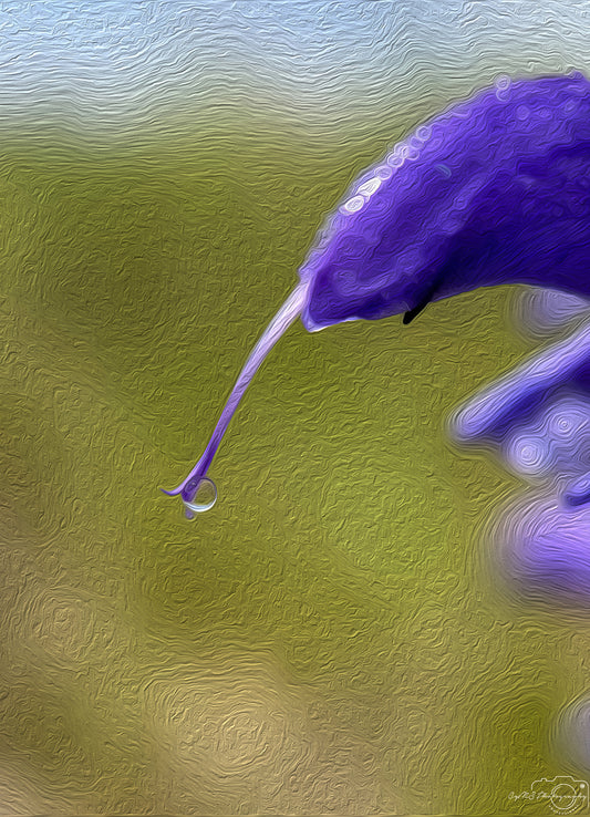 Digital Oil Painting - Superb Droplet V774