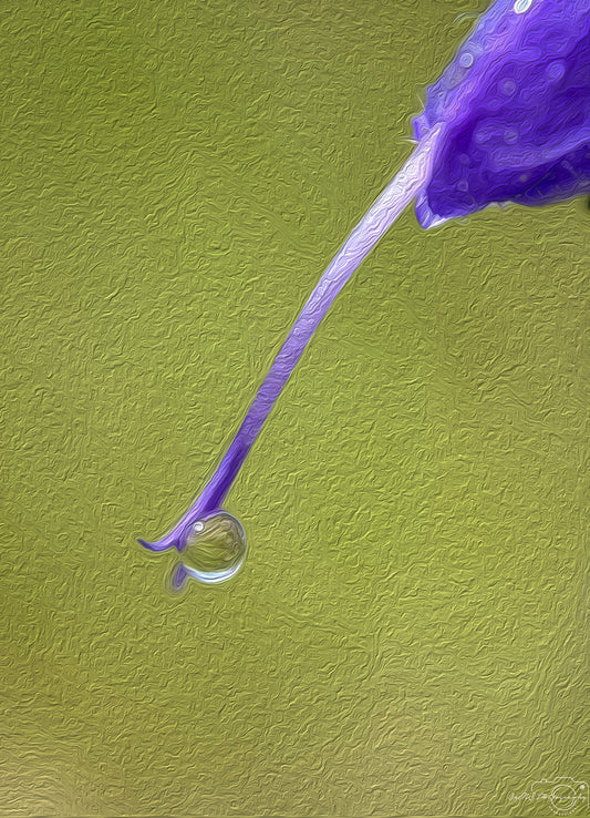 Digital Oil Painting - Superb Droplet V775