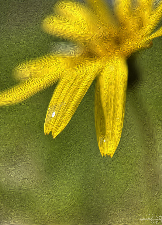 Digital Oil Painting - Superb Droplet V777