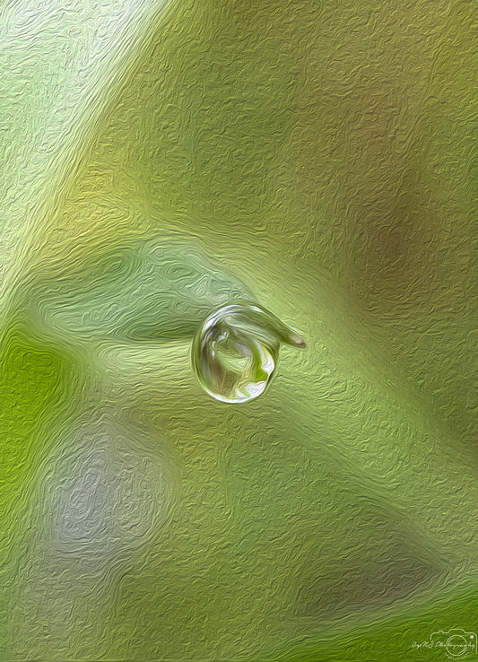 Digital Oil Painting - Superb Droplet V780