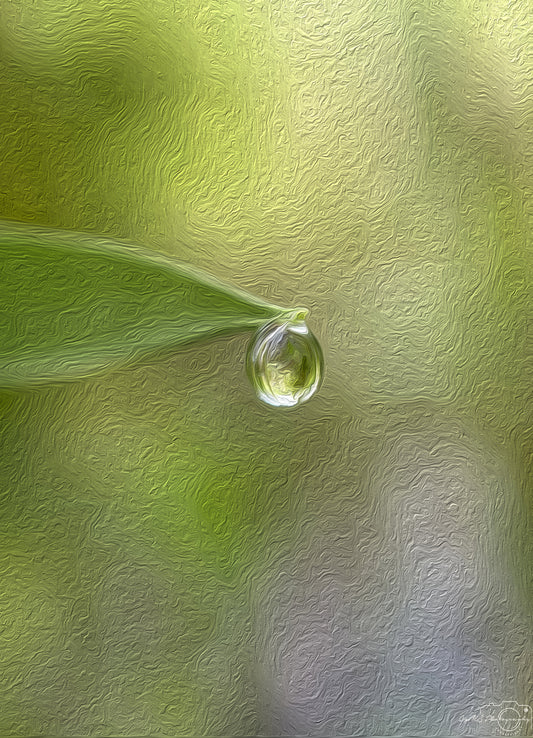 Digital Oil Painting - Superb Droplet V781